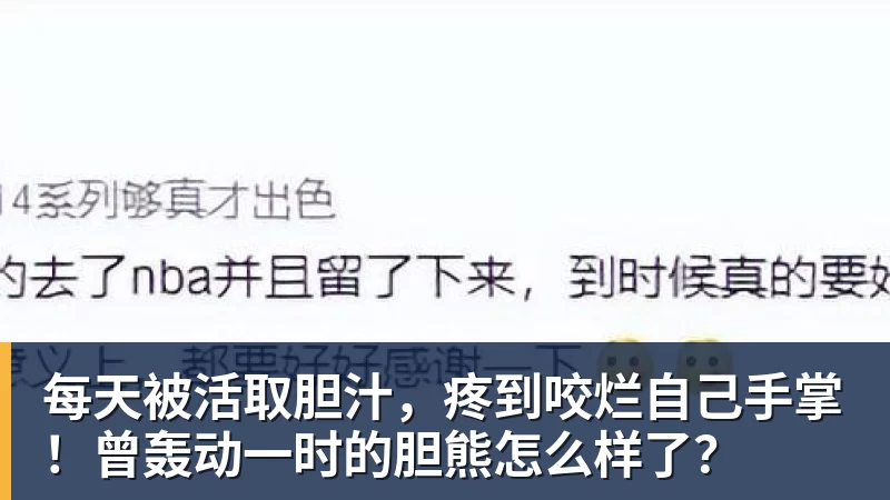 每天被活取胆汁,疼到咬烂自己手掌!曾轰动一时的胆熊怎么样了?