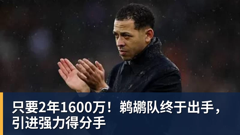 只要2年1600万！鹈鹕队终于出手，引进强力得分手